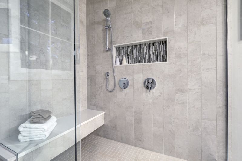Multi-Functional Shower Niche